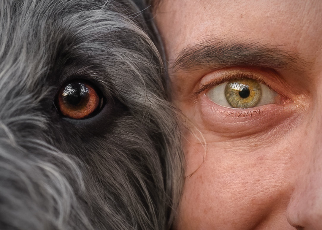 mal-and-billy-eye-FR