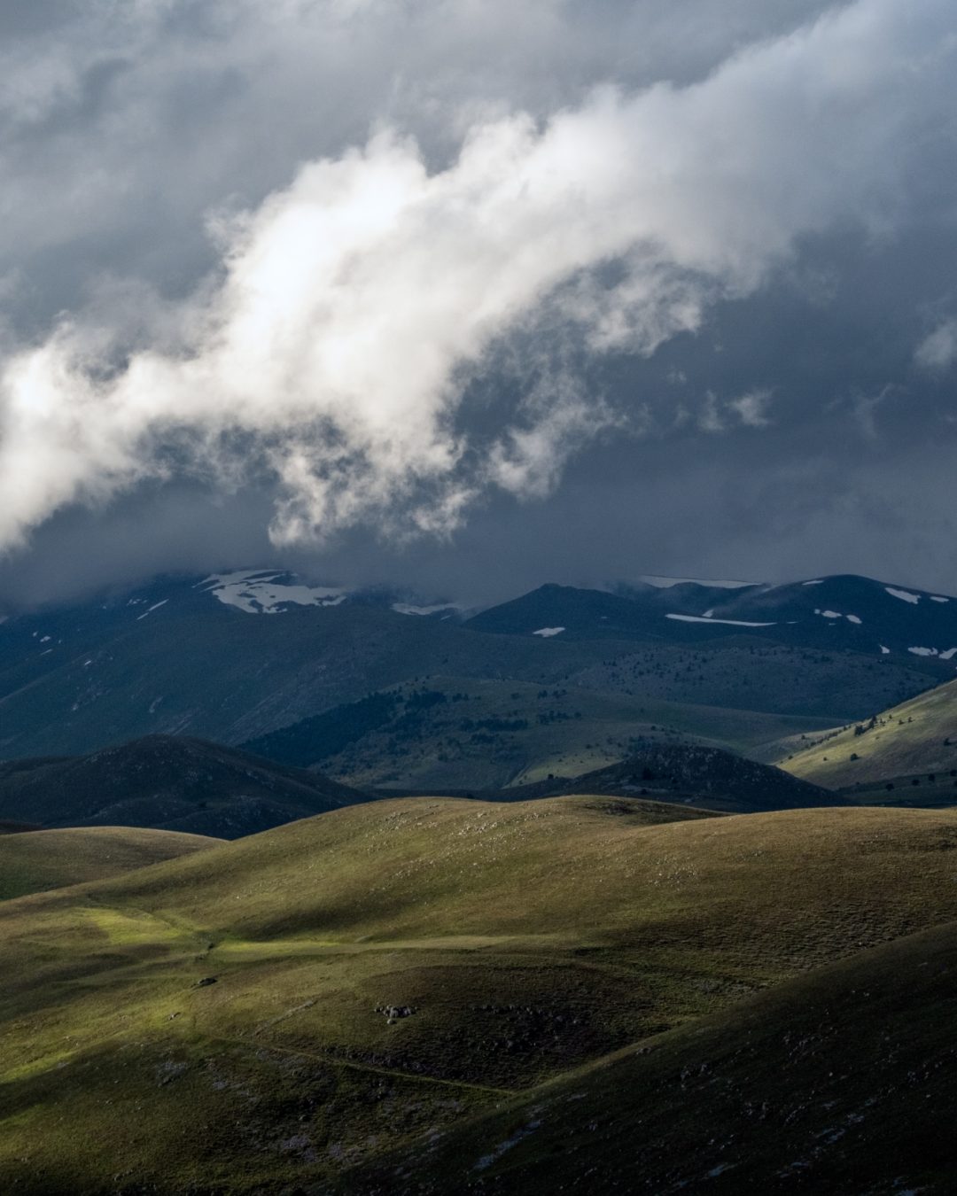 _ADG8765-Edit (2500px)