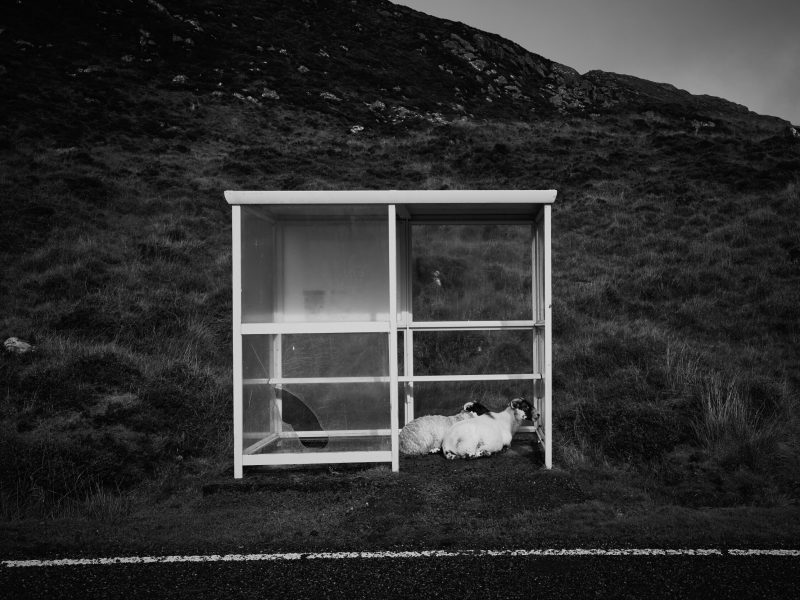 Bus Stop Harris