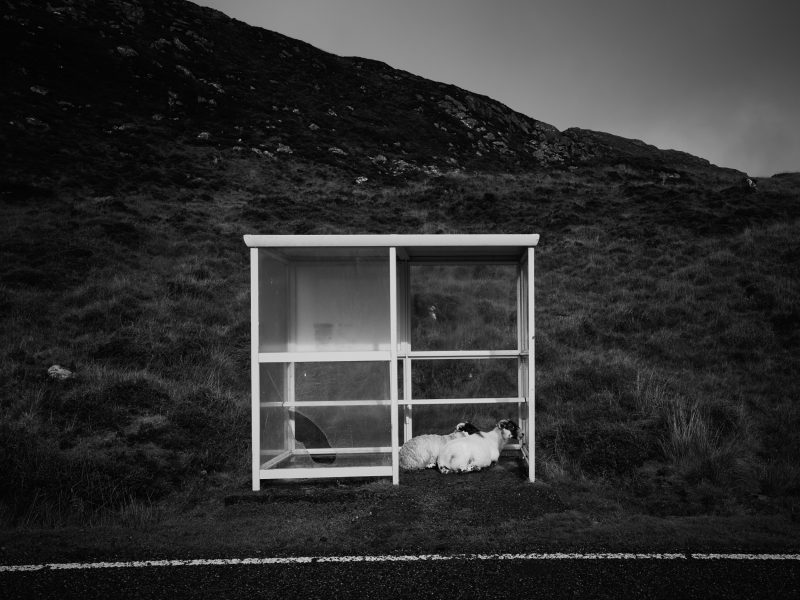 Bus Stop Harris 1514 (2500px)