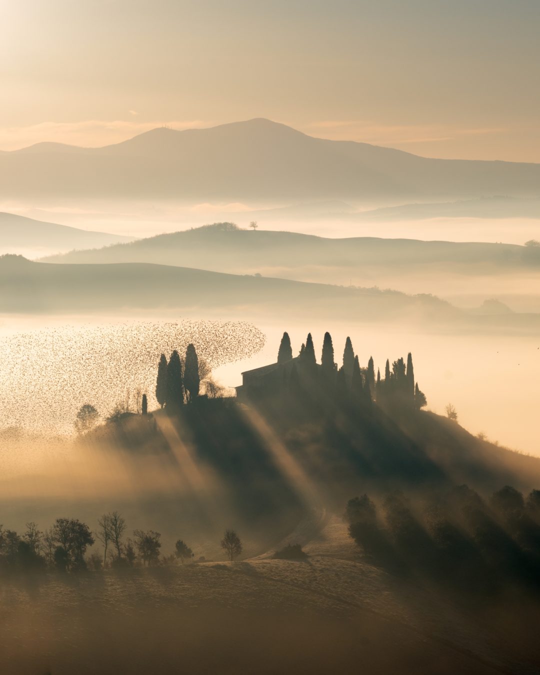 _DSF9901-Edit (2500px)