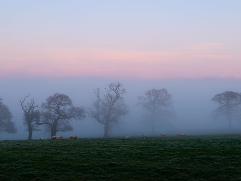 Mist Across the Dale 0496 (2500px)