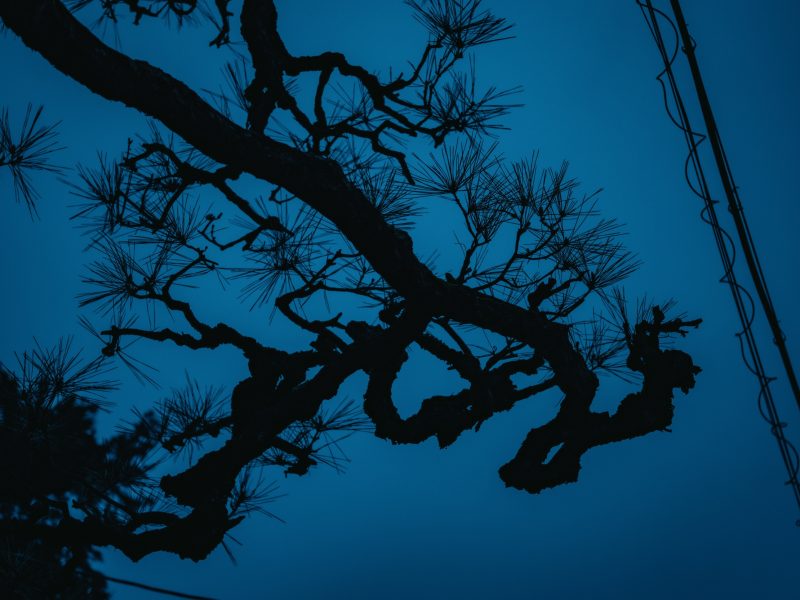 Naoki Miyashita