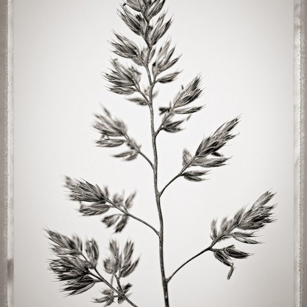SWeir_type55_333_lowres-Enhanced-SR